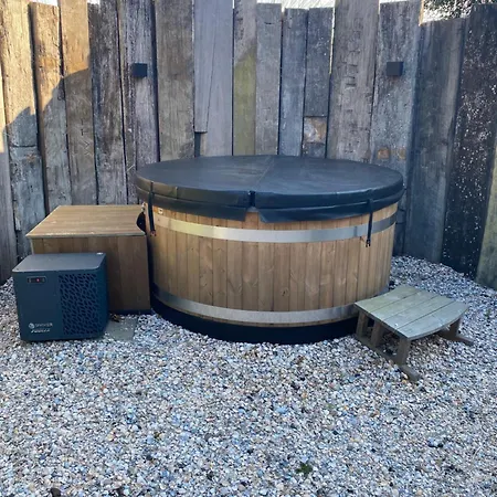 Egmond Mr Blue Sky *