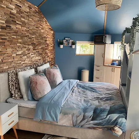 Egmond Mr Blue Sky *