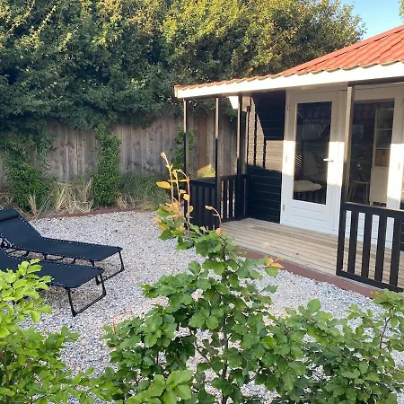 Egmond Mr Blue Sky *