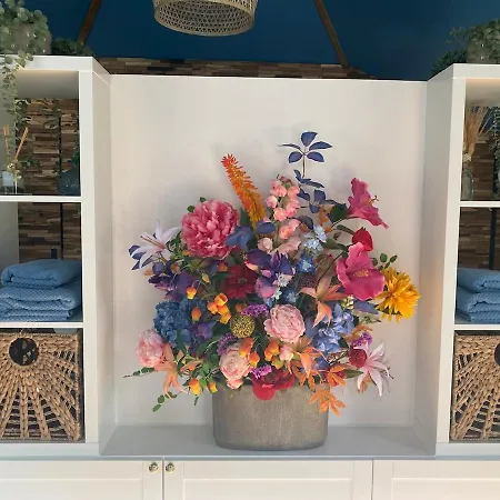 Egmond Mr Blue Sky Apartman *