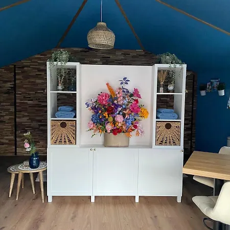 Egmond Mr Blue Sky *