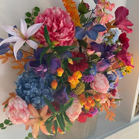 Apartman Egmond Mr Blue Sky *