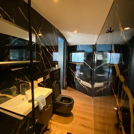 Egmond Mr Blue Sky *