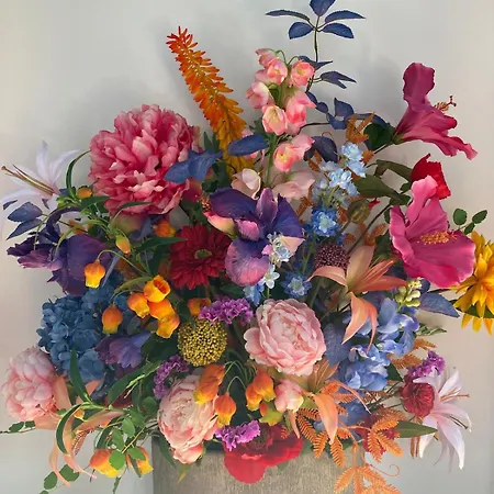 Egmond Mr Blue Sky Apartman *